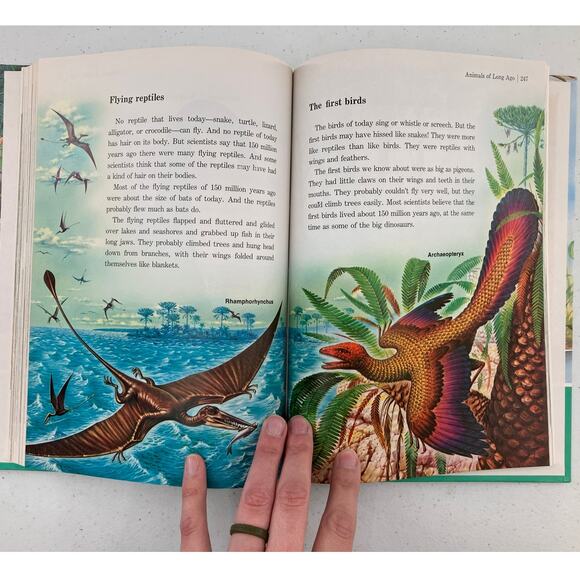 Vintage 1988 Childcraft How And Why Library About Animals Childrens Encyclopedia - Picture 11 of 13